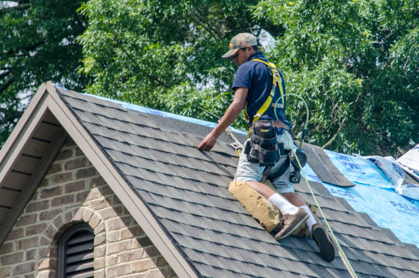 Best Metal Roofing Contractor  in New London, TX